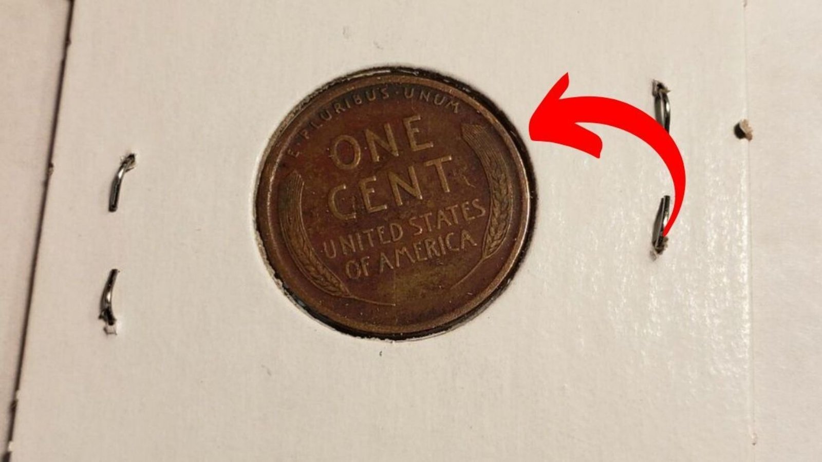 The Hunt for the $5 Million Lincoln Wheat Penny