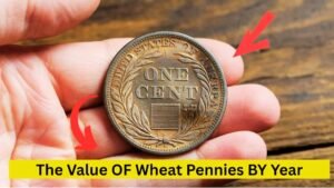 The Value of Wheat Pennies by Year: The Ultimate Guide of Past 10 Year