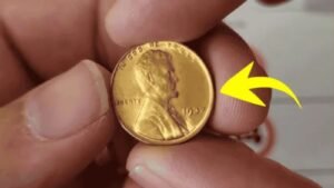 The Lincoln Wheat Penny